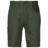 Stoic Hemp54 ValenSt. Shorts - Shorts